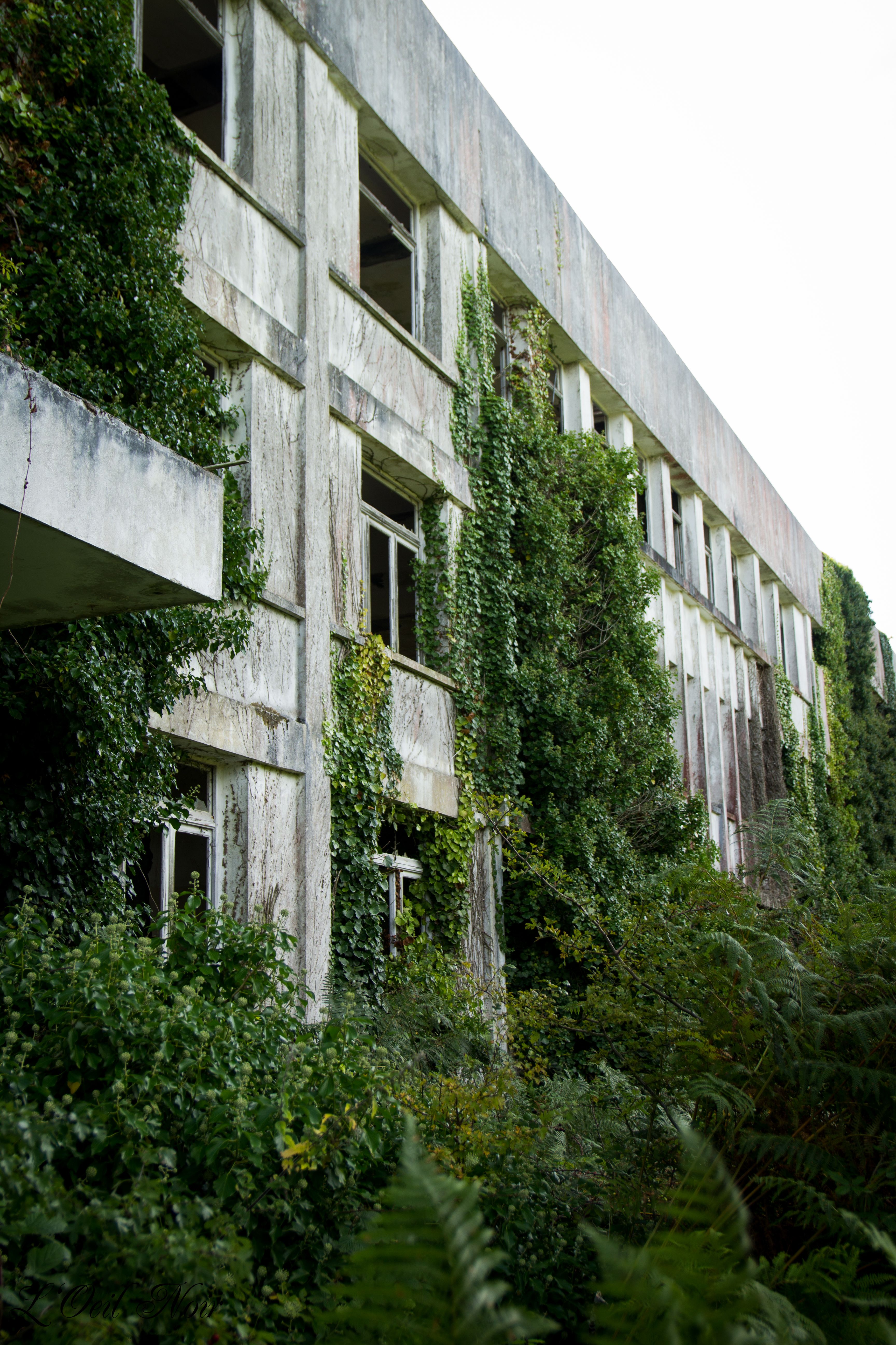 L' Oeil Noir Photographie